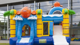 Hüpfburg Multiplay Clownfisch