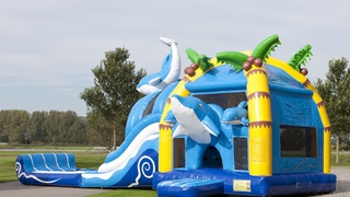 Hüpfburg Multiplay Super Delfin