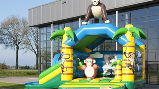 Hüpfburg Multifun Gorilla