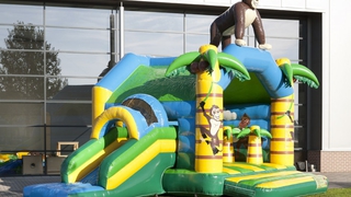 Hüpfburg Multifun Gorilla