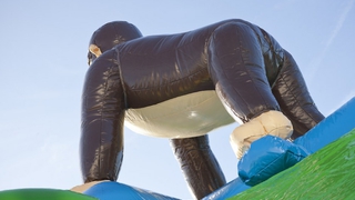 Hüpfburg Multifun Gorilla