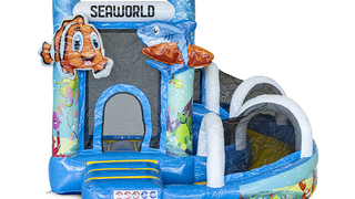 Mini Multifun Seaworld 