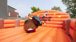 Bullriding Western 