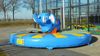 Pullriding Elefant 