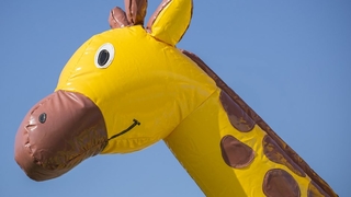 Hüpfburg Multifun Super Giraffe 