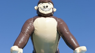 Hüpfburg Super Gorilla